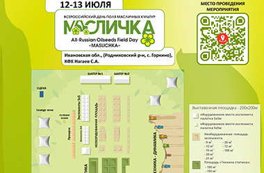 Открыть по клику